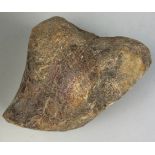 THE FEMUR OF AN ENGLISH IGUANODON DINOSAUR 15cm x 11cm x 10cm This rare femoral head of a