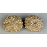 A PAIR OF FOSSIL SEA URCHINS, 6cm x 5cm x 3cm From the Island of Flores, Indonesia. Miocene - 5-10
