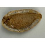 A FOSSIL FISH IN LIMESTONE 8.5cm x 4.5cm Finely detailed fossilised fish in a round pebble. Amilobe,