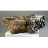 JAW FOSSIL FROM AN EXTINCT HIPPO 10cm x 9cm x 4cm This partial jaw contains one extremely well-