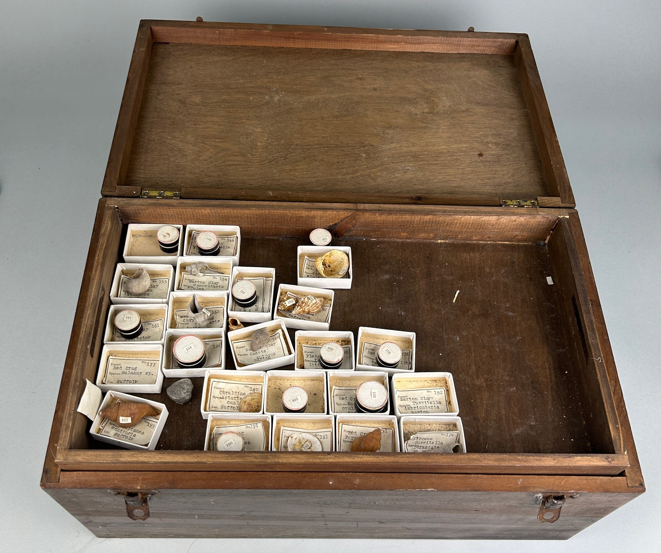 A GREGORY BOTTLEY CASED COLLECTION OF FOSSILS, Four wooden trays contained in a wooden box. - Image 12 of 12