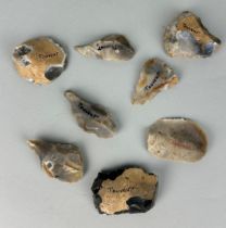 A COLLECTION OF EIGHT NEOLITHIC SCRAPERS AND PIERCERS FROM TOUVENT FRANCE (8) 6.5cm x 4.5cm