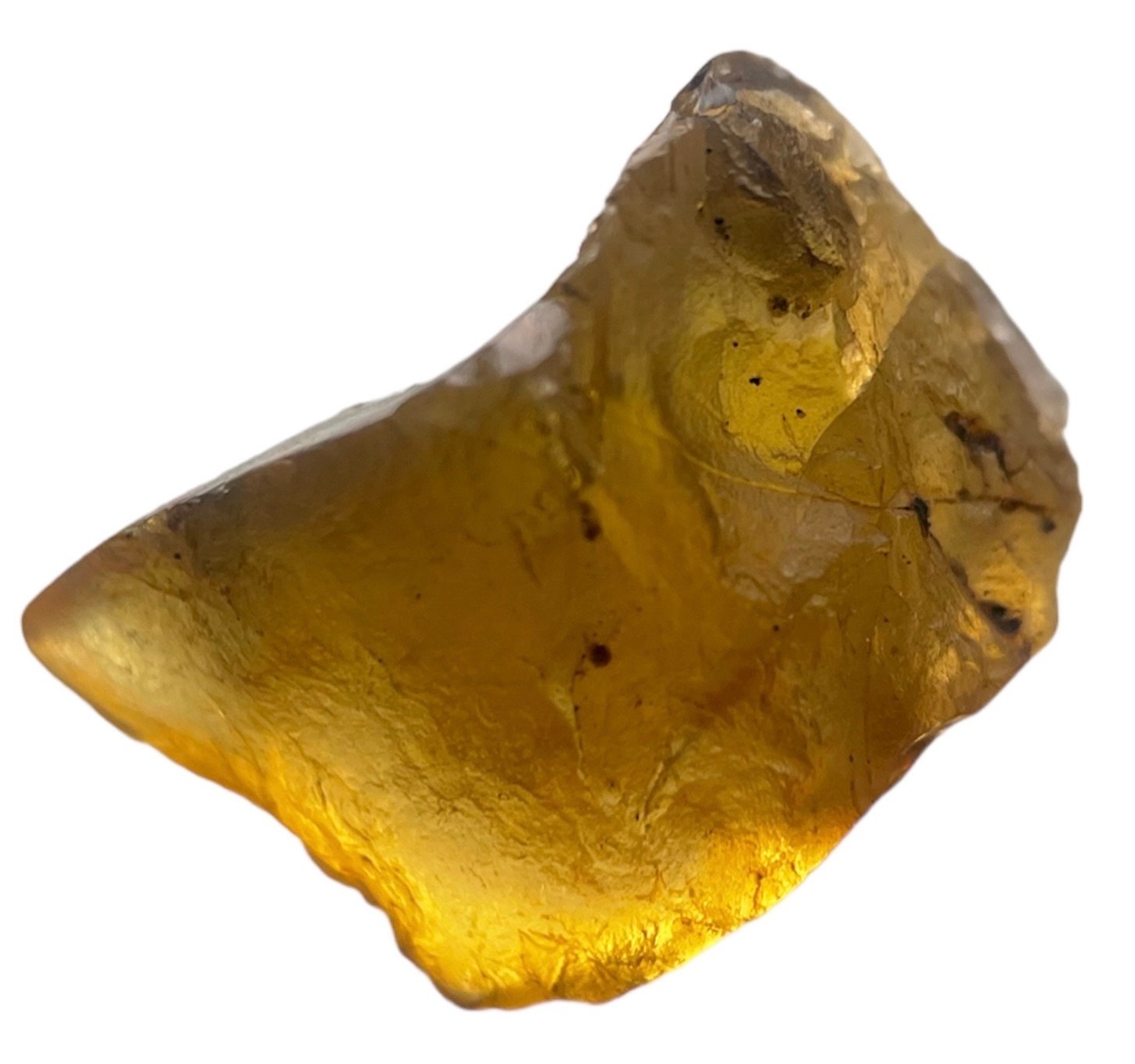 A VERY RARE DINOSAUR FEATHER FOSSIL IN BURMESE AMBER An extremely scarce double feather alongside - Image 2 of 3