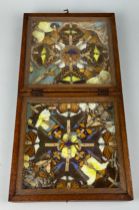 A VICTORIAN CASED BUTTERFLY COLLECTION, Case 25cm x 25cm 8cm