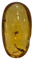 SPIDER AND FLYING INSECTS IN DINOSAUR AGED FOSSIL AMBER, A very detailed spider alongside two