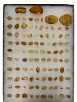 A LARGE COLLECTION OF AMBER WITH INSECT FOSSILS An exceptional grouping of insects in amber from the