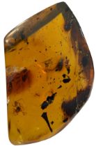 A SPIDER FOSSIL IN AMBER A large amber gem containing a very detailed spider. From the amber mines