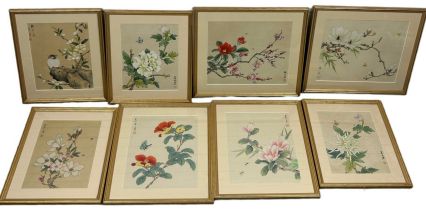 A SET OF EIGHT CHINESE INK AND WATERCOLOUR PAINTINGS (8) Each mounted in frames and glazed.