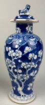 AN EARLY 19TH CENTURY CHINESE BLUE AND WHITE PORCELAIN VASE DECORATED WITH PRUNUS FLOWERS, 22cm H