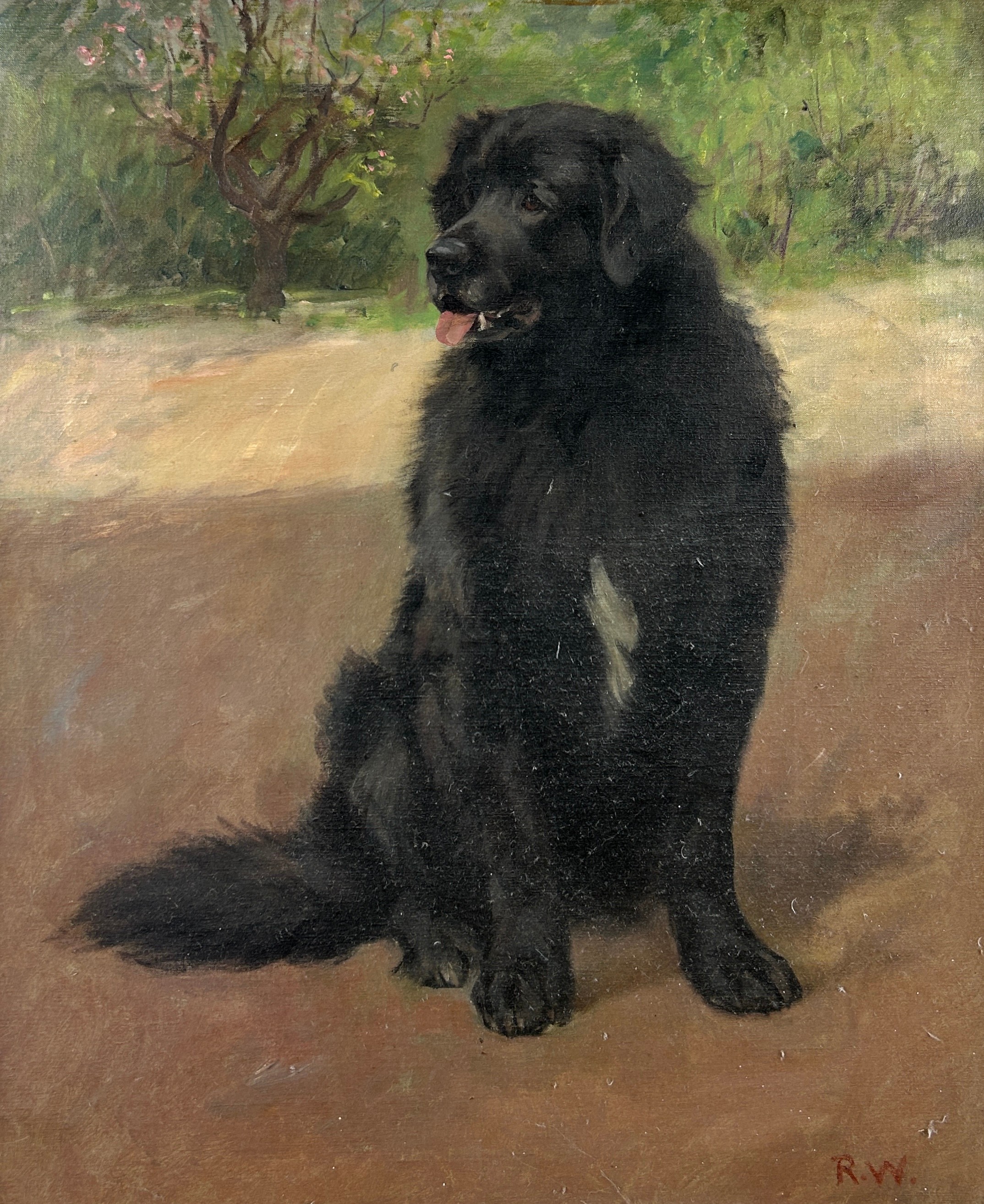 AN OIL ON CANVAS PAINTING DEPICTING A BLACK DOG, Signed bottom right 'RW' 60cm x 50cm Mounted in a - Image 2 of 4