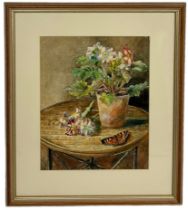 A WATERCOLOUR ON PAPER PAINTING OF A PLANT ON A TABLE WITH A BUTTERFLY, 28cm x 23cm Mounted in a