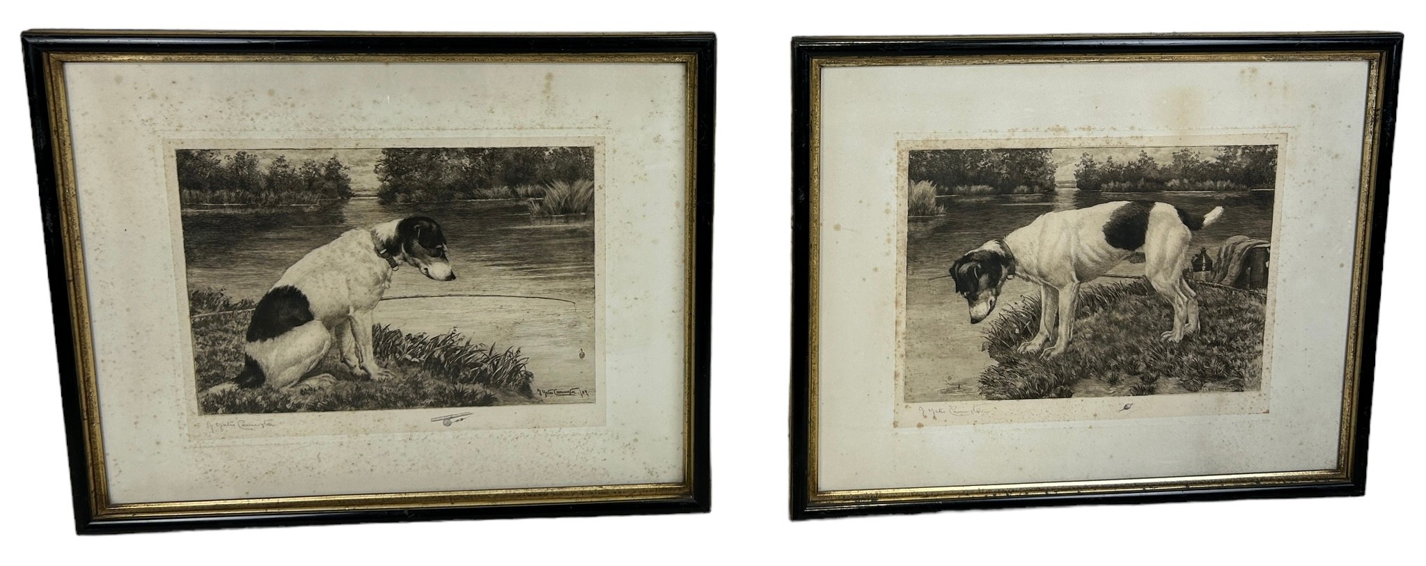 AFTER JAMES YATES CARRINGTON (1857-1892): A PAIR OF SIGNED LITHOGRAPHS DEPICTINGS TERRIERS, 46cm x