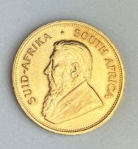 A SOUTH AFRICAN FULL GOLD KRUGGERAND 1981, Bust of Paul Kruger, and Springbok walking dividing the