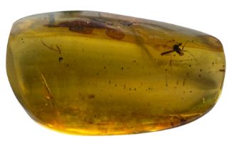 A PAIR OF FLYING INSECT FOSSILS IN DINOSAUR AGED AMBER, A large detailed mosquito, alongside another