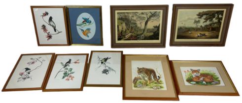 A COLLECTION OF NINE NATURAL HISTORY INTEREST PRINTS (9) Botanical studies, birds, flora and