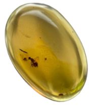 A BEE FOSSIL IN DINOSAUR AGED AMBER, A highly detailed bee, with stinger clearly visible. From the