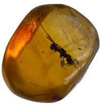 AN ANT FOSSIL IN DINOSAUR AGED AMBER, A clear amber gem, containing a detailed ant. From the amber