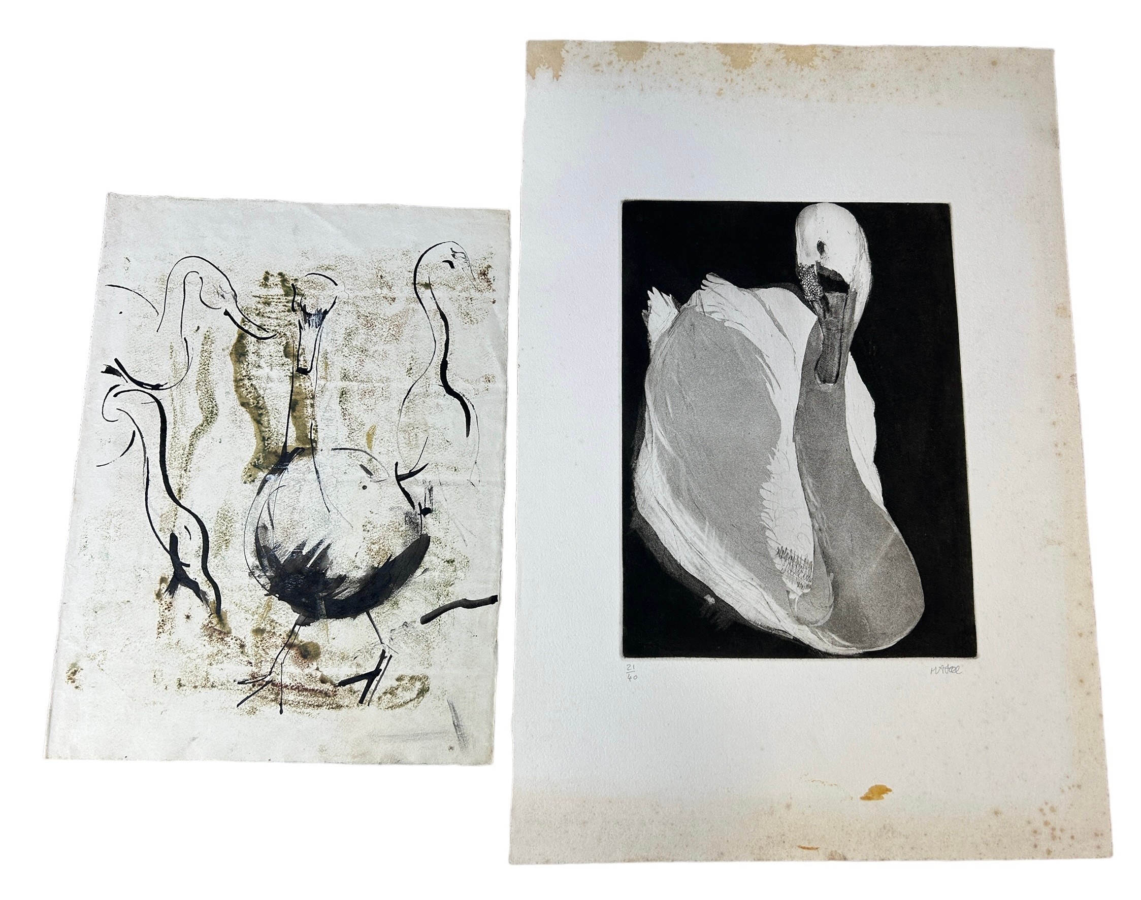 A LITHOGRAPH OF A SWAN ALONG WITH A WATERCOLOUR ON PAPER DEPICTING A GAGGLE OF GEESE (2) Swan: Sheet