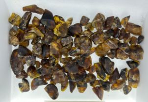 A LARGE AND RARE COLLECTION OF BURMESE AMBER WITH VARIOUS INSECT AND PLANT MATTER INCLUSIONS,
