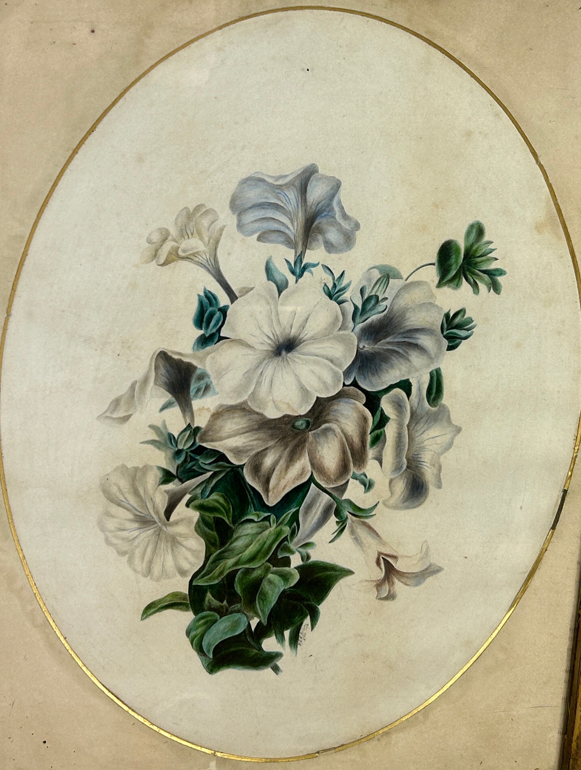A PENCIL AND WATERCOLOUR PAINTING ON PAPER DEPICTING FLOWERS, 38cm x 28cm Oval mount, in a gilded - Image 2 of 4