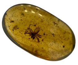 A SPIDER FOSSIL IN DINOSAUR AGED AMBER, A detailed spider in cretaceous amber. From the amber