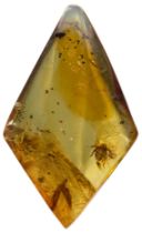 A PARASITIC TICK FOSSIL IN DINOSAUR AGED AMBER, Highly detailed tick in clear amber. From the