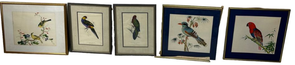 A COLLECTION OF FIVE BIRD PRINTS (5) Mostly framed and glazed. One frame and glass damaged.