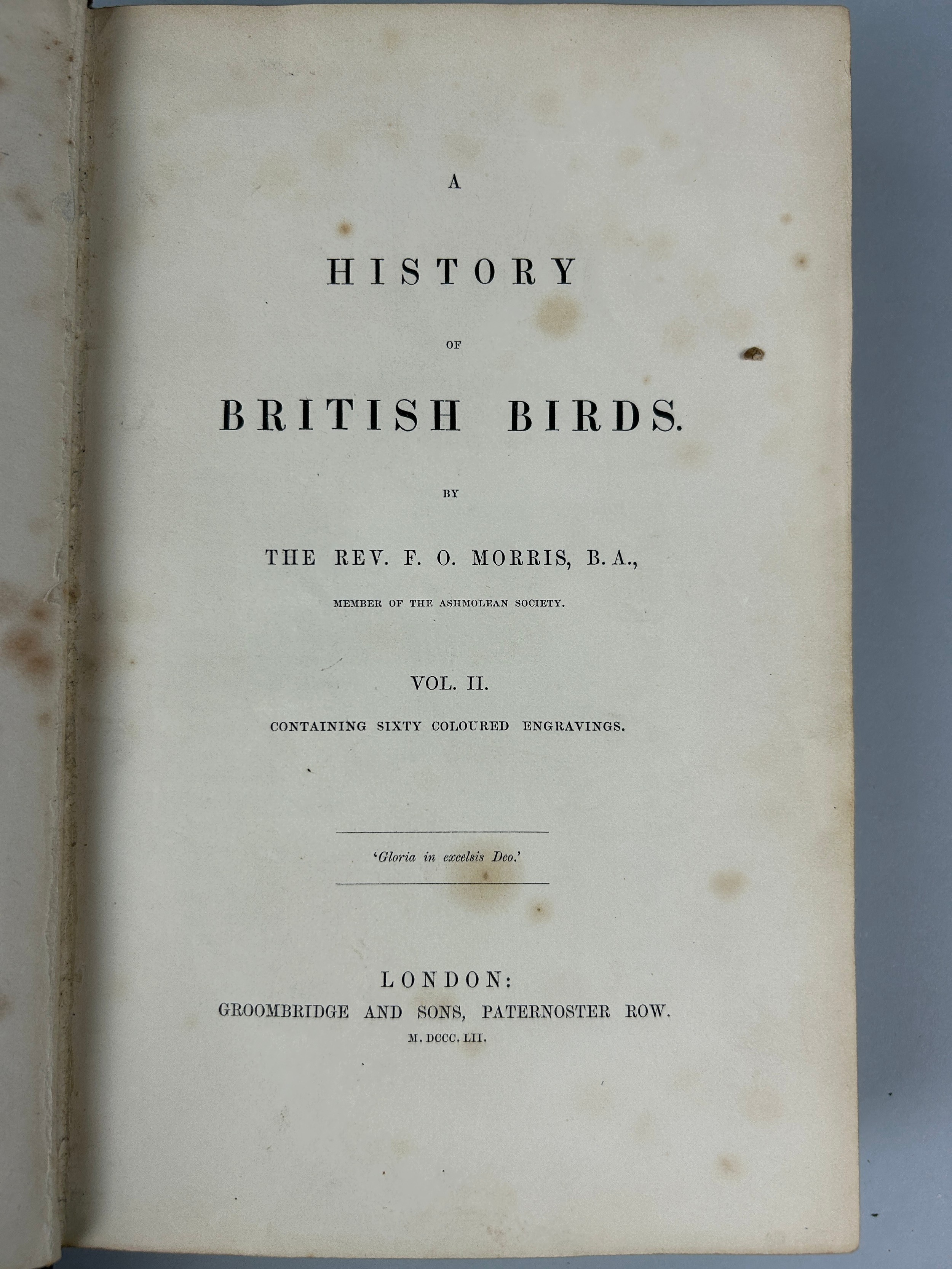 REVEREND F. O. MORRIS A HISTORY OF BRITISH BIRDS LONDON AND ANOTHER VOLUME 'BRITISH BUTTERFLIES' (7) - Image 13 of 14