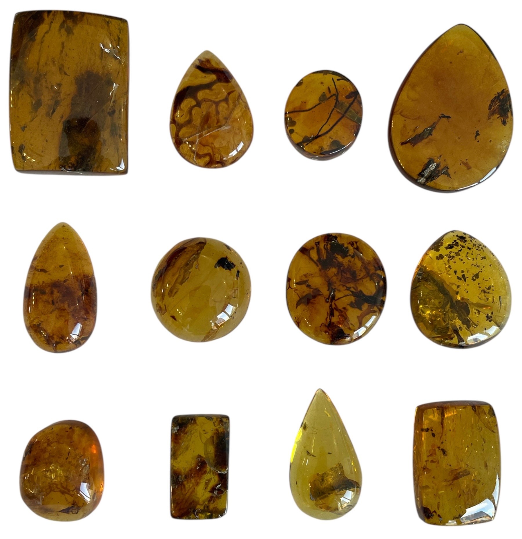 A GROUPING OF PLANT FOSSILS IN DINOSAUR AGED BURMESE AMBER A fantastic grouping of 12 botanical