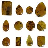 A GROUPING OF PLANT FOSSILS IN DINOSAUR AGED BURMESE AMBER A fantastic grouping of 12 botanical