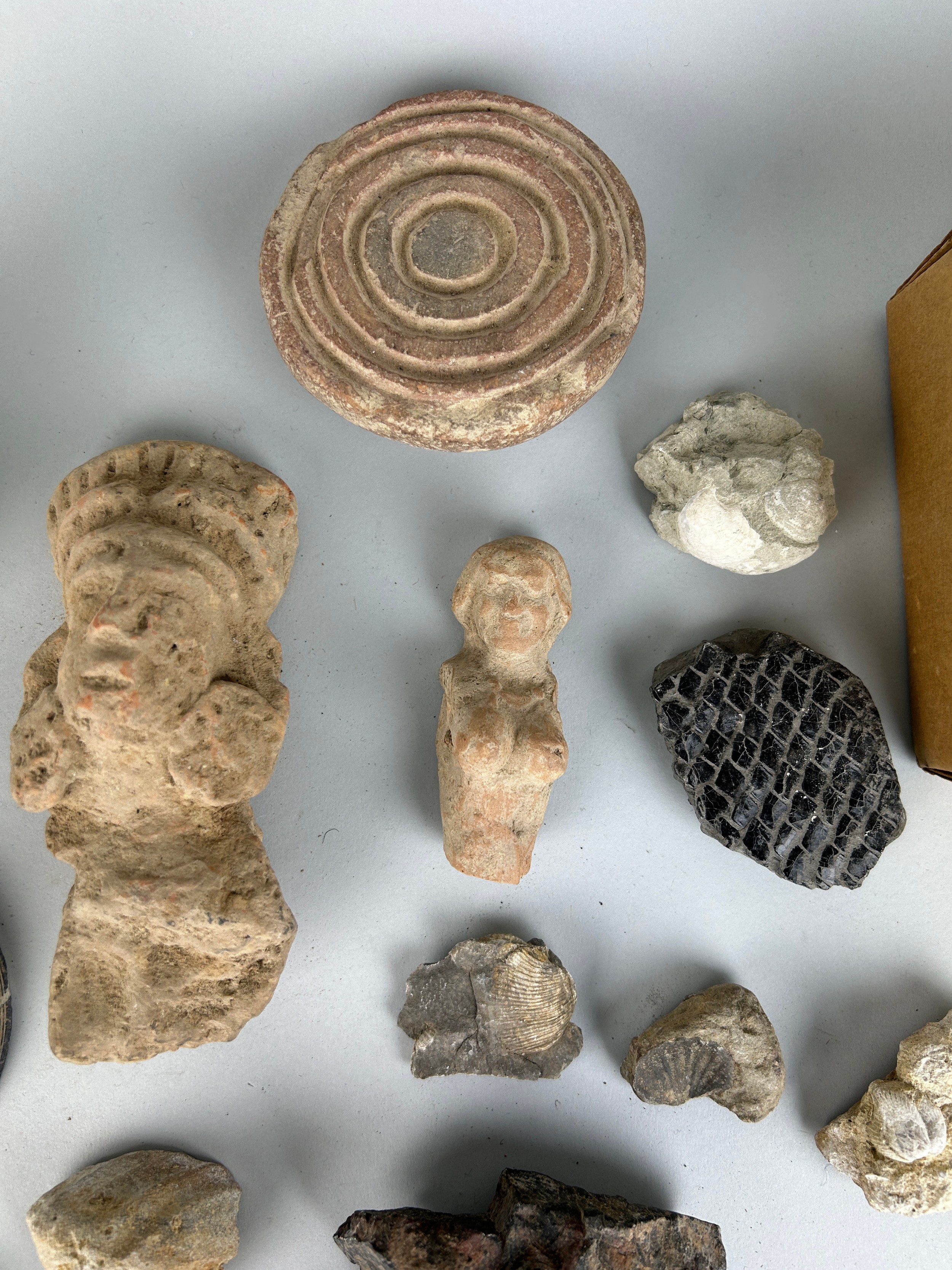 A LARGE COLLECTION OF ANTIQUITIES AND FOSSILS TO INCLUDE ROMAN OR POSSIBLY GANDHARAN POTTERY - Image 9 of 16