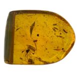A FOSSIL MOSQUITO IN DINOSAUR AGED BURMESE AMBER Mosquito remains in amber are highly uncommon