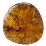 A SCORPION FOSSIL IN DINOSAUR AGED BURMESE AMBER An exceptionally rare and detailed scorpion.