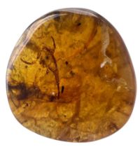 A SCORPION FOSSIL IN DINOSAUR AGED BURMESE AMBER An exceptionally rare and detailed scorpion.
