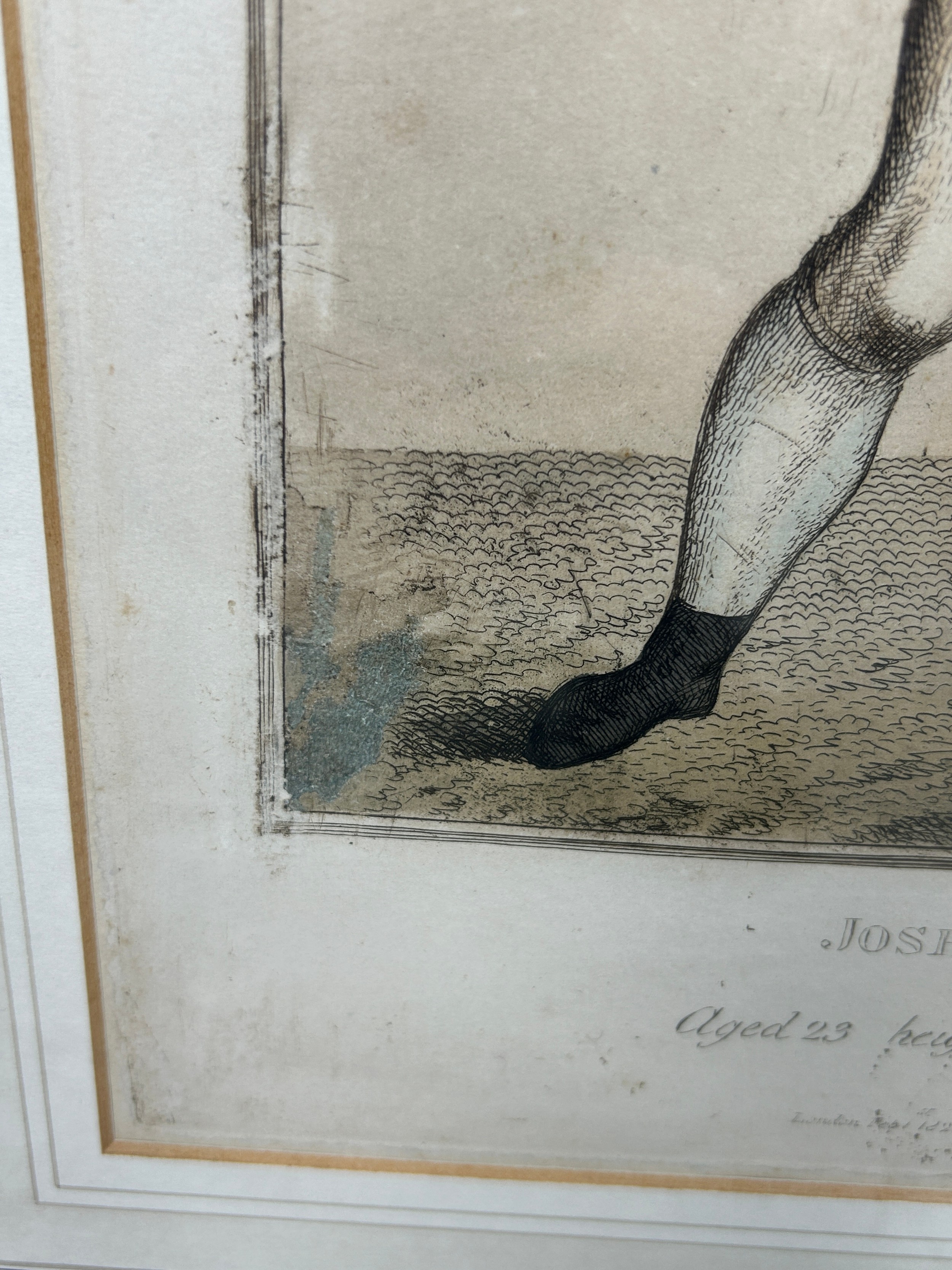 BOXING / PUGILIST INTEREST: A HAND COLOURED ENGRAVING OF JOSHUA HUDSON, Published by Samuel - Image 3 of 5