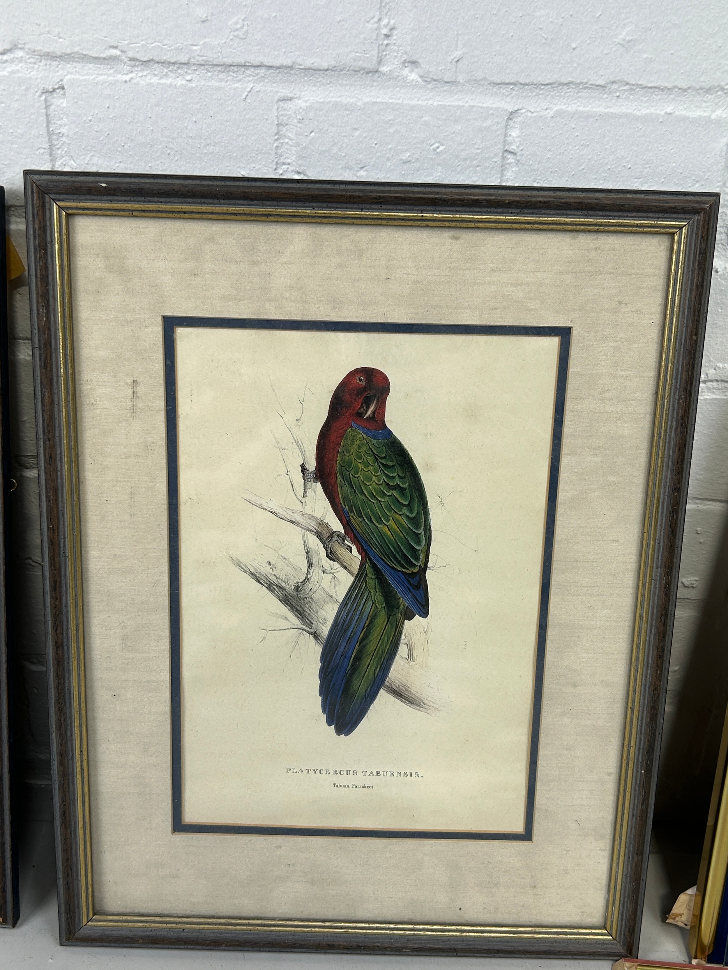 A COLLECTION OF FIVE BIRD PRINTS (5) Mostly framed and glazed. One frame and glass damaged. - Image 2 of 4