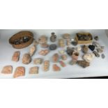 A LARGE COLLECTION OF ANTIQUITIES AND FOSSILS TO INCLUDE ROMAN OR POSSIBLY GANDHARAN POTTERY