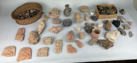 A LARGE COLLECTION OF ANTIQUITIES AND FOSSILS TO INCLUDE ROMAN OR POSSIBLY GANDHARAN POTTERY