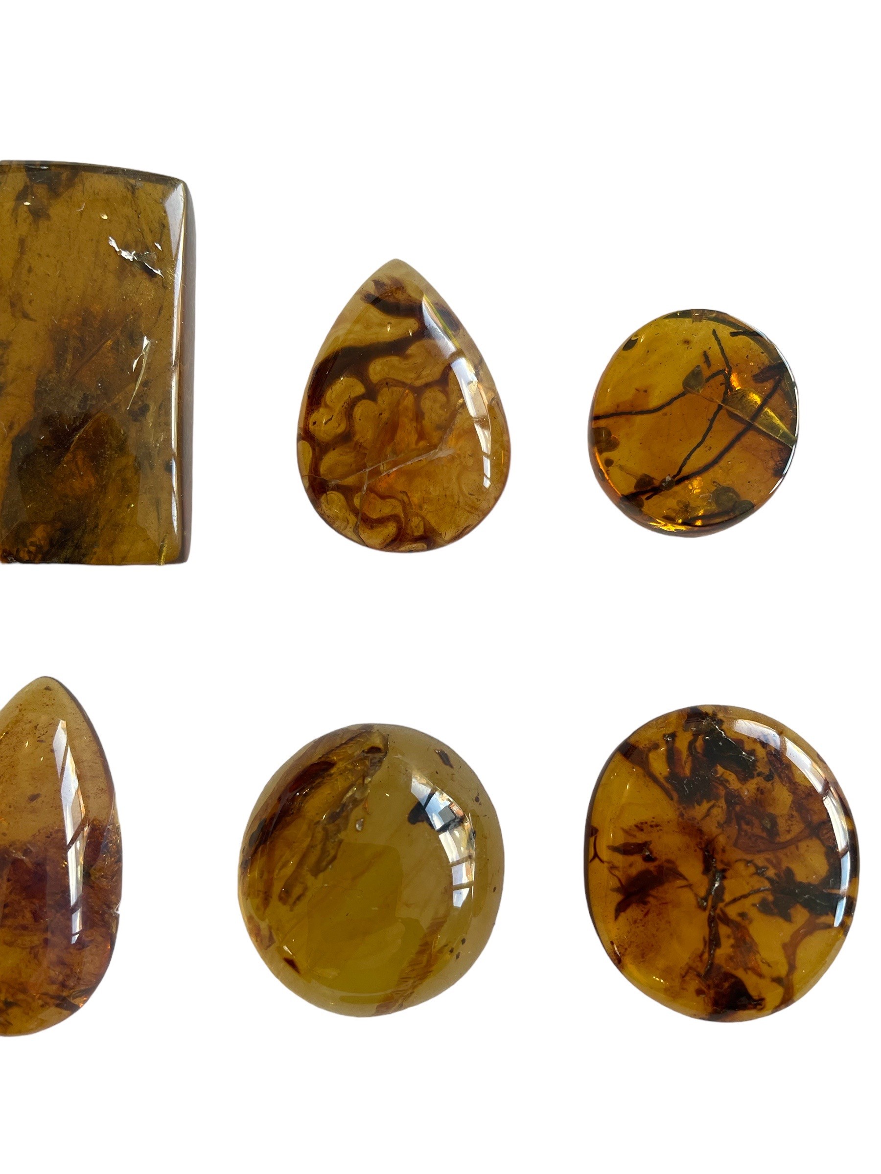 A GROUPING OF PLANT FOSSILS IN DINOSAUR AGED BURMESE AMBER A fantastic grouping of 12 botanical - Image 3 of 4