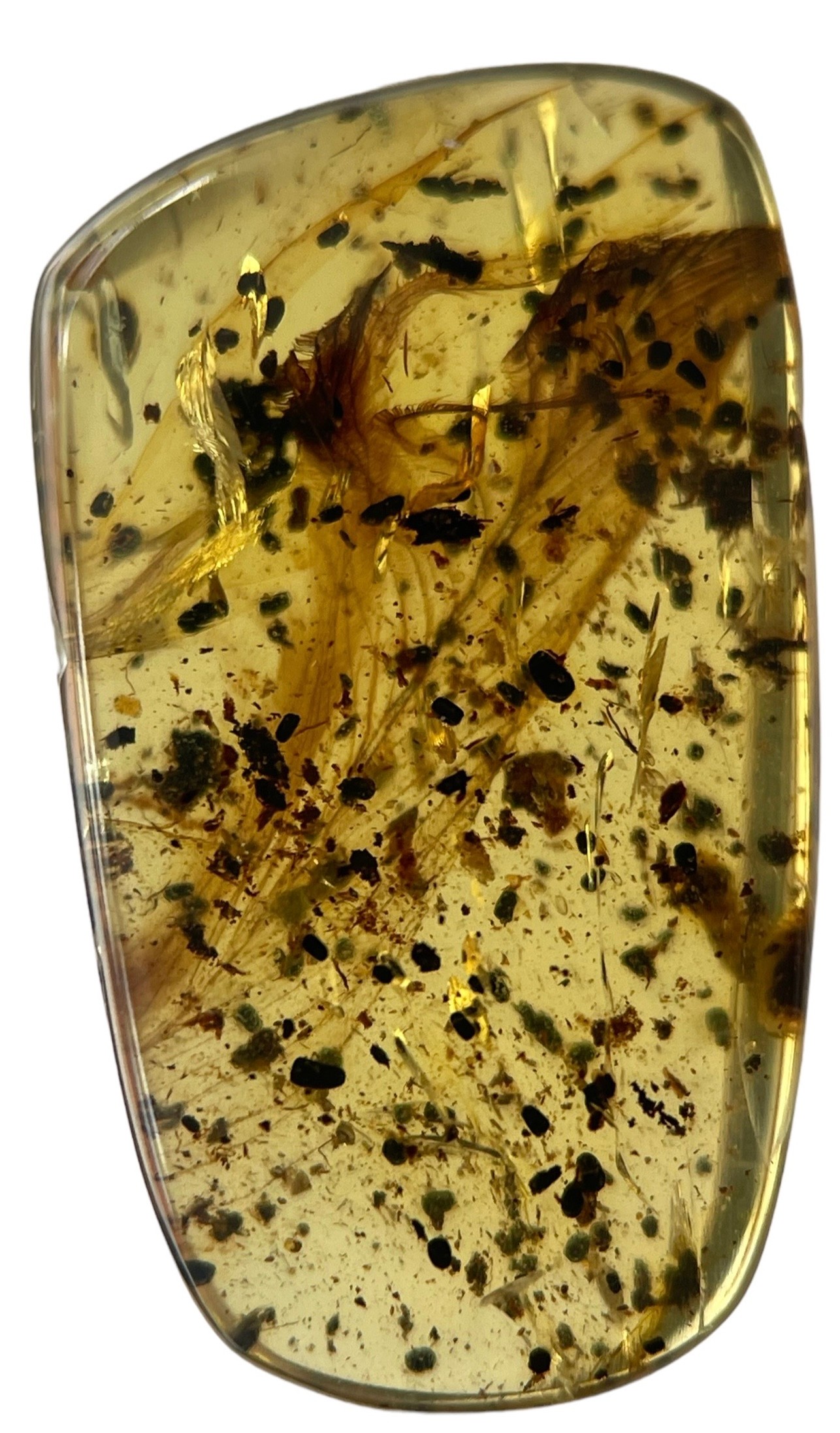 A VERY RARE DINOSAUR FEATHER FOSSIL IN BURMESE AMBER A large and extremely scarce dinosaur feather