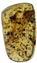 A VERY RARE DINOSAUR FEATHER FOSSIL IN BURMESE AMBER A large and extremely scarce dinosaur feather