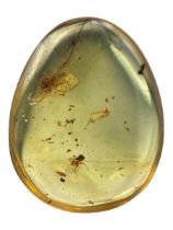 A FOSSIL FLY IN DINOSAUR AGED BURMESE AMBER A highly detailed fly, alongside others in clear