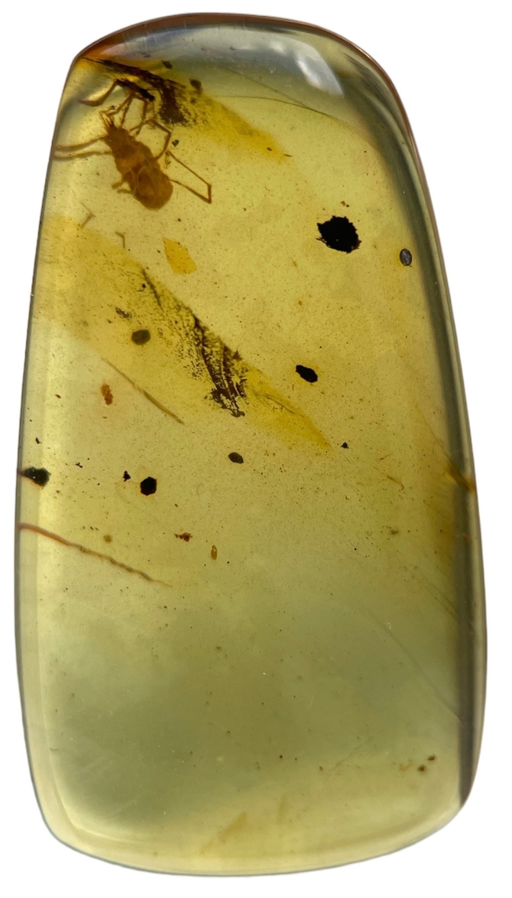 AN UNKNOWN INSECT FOSSIL IN DINOSAUR AGED BURMESE AMBER A highly unusual insect in clear amber. - Image 2 of 3