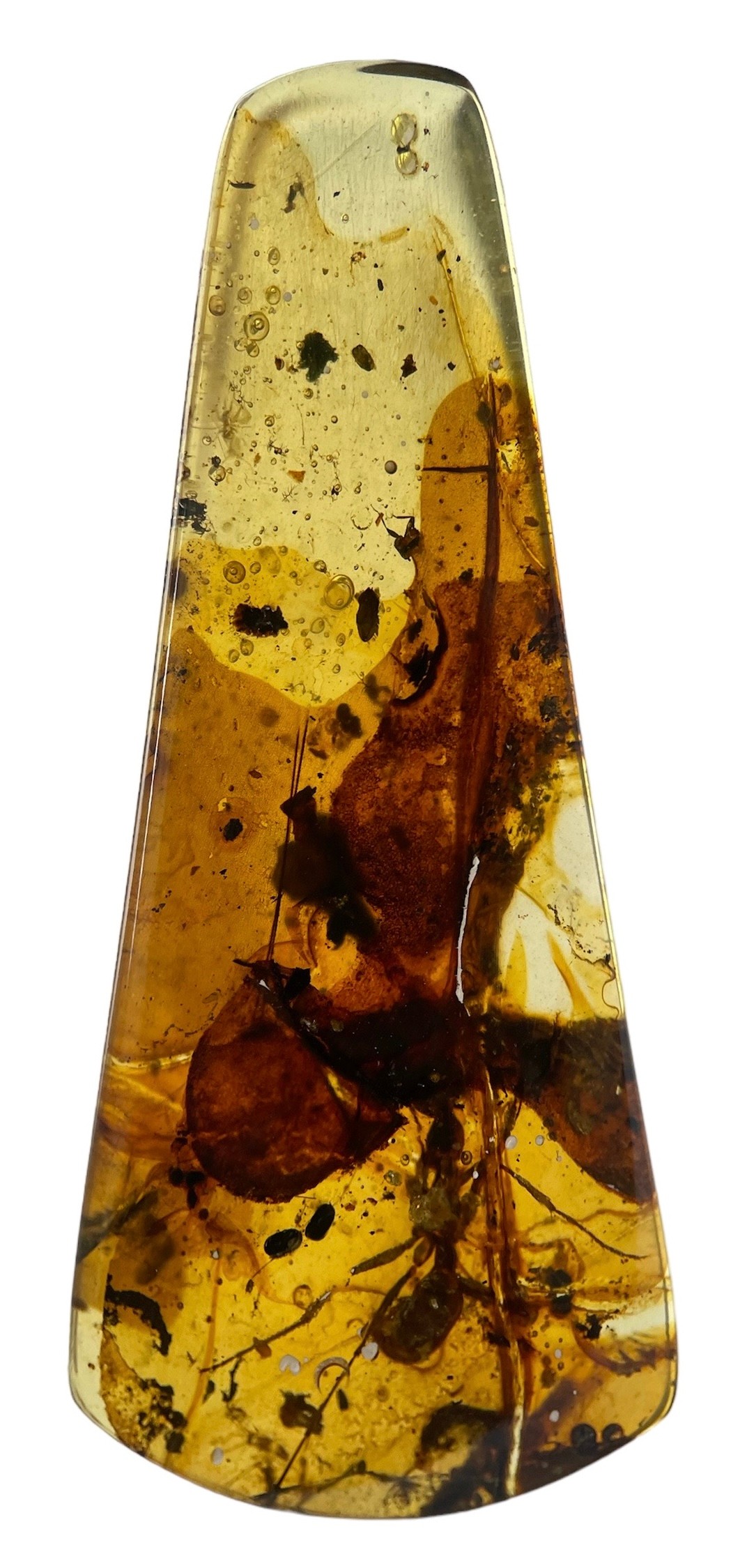 A LARGE ANT FOSSIL IN DINOSAUR AGED BURMESE AMBER A very large ant, alongside other insect and plant - Image 2 of 4