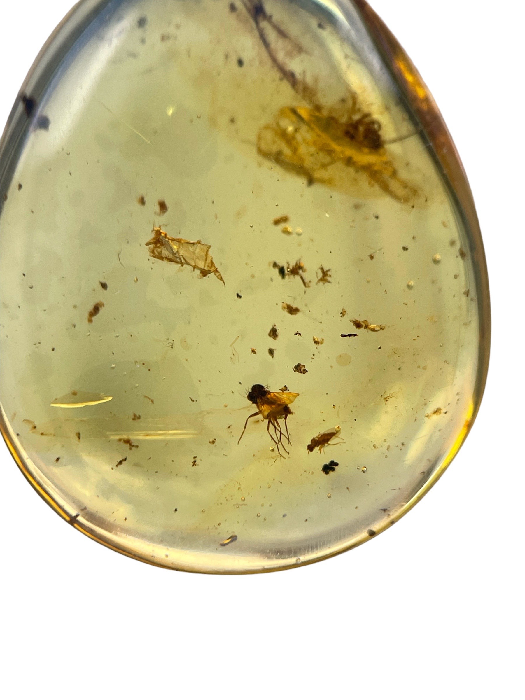 A FOSSIL FLY IN DINOSAUR AGED BURMESE AMBER A highly detailed fly, alongside others in clear - Image 3 of 3