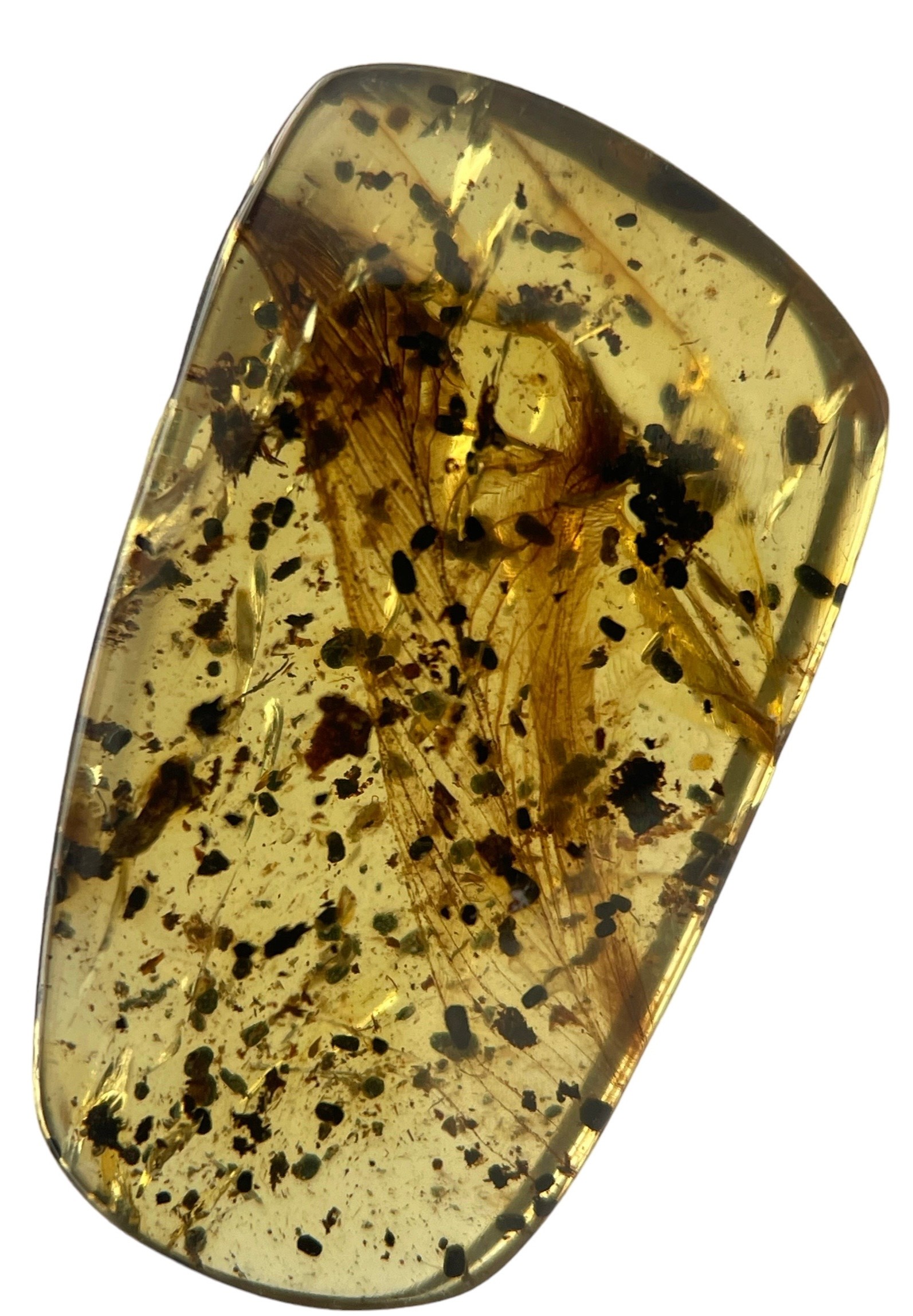 A VERY RARE DINOSAUR FEATHER FOSSIL IN BURMESE AMBER A large and extremely scarce dinosaur feather - Image 2 of 3
