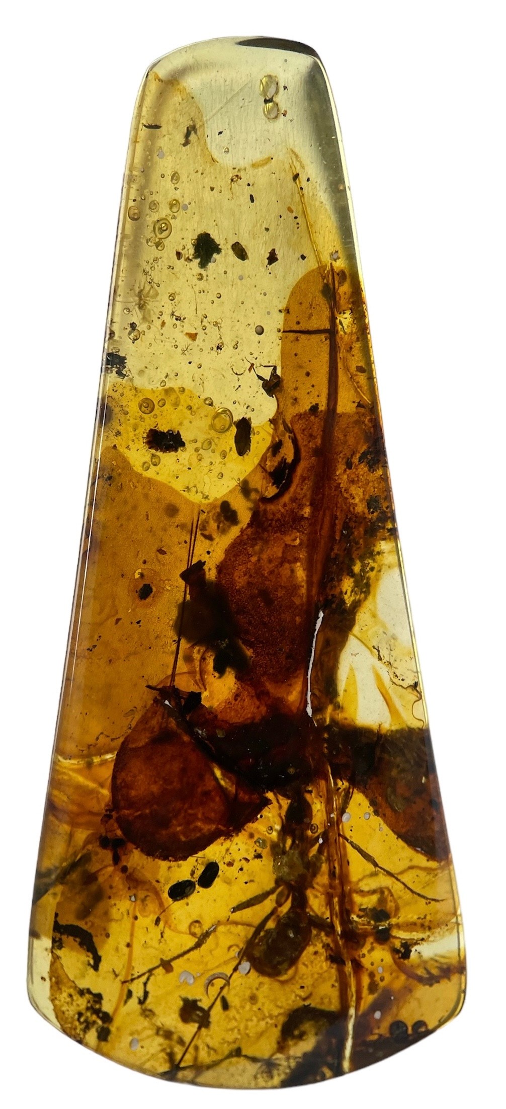 A LARGE ANT FOSSIL IN DINOSAUR AGED BURMESE AMBER A very large ant, alongside other insect and plant - Image 3 of 4