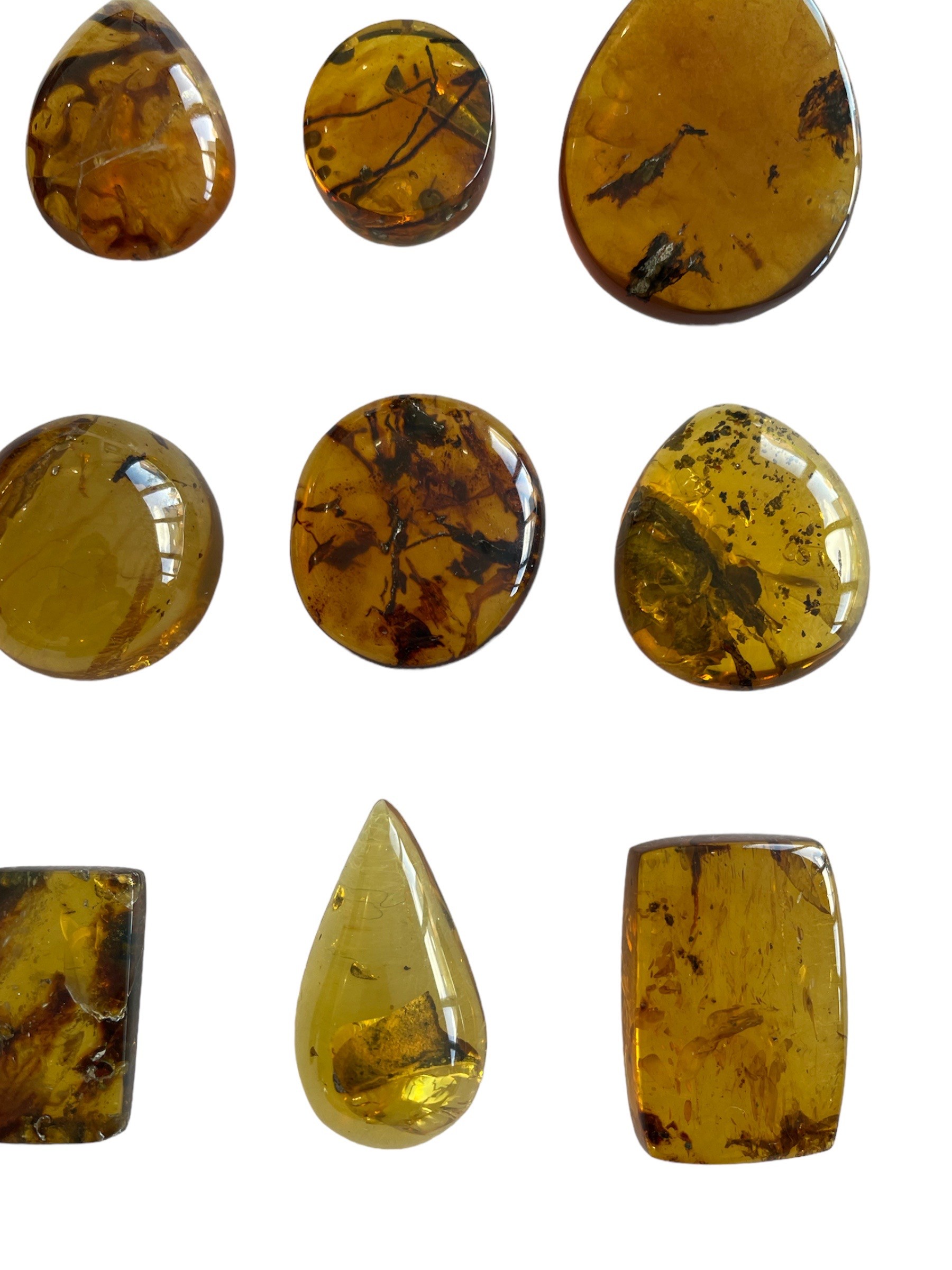 A GROUPING OF PLANT FOSSILS IN DINOSAUR AGED BURMESE AMBER A fantastic grouping of 12 botanical - Image 2 of 4