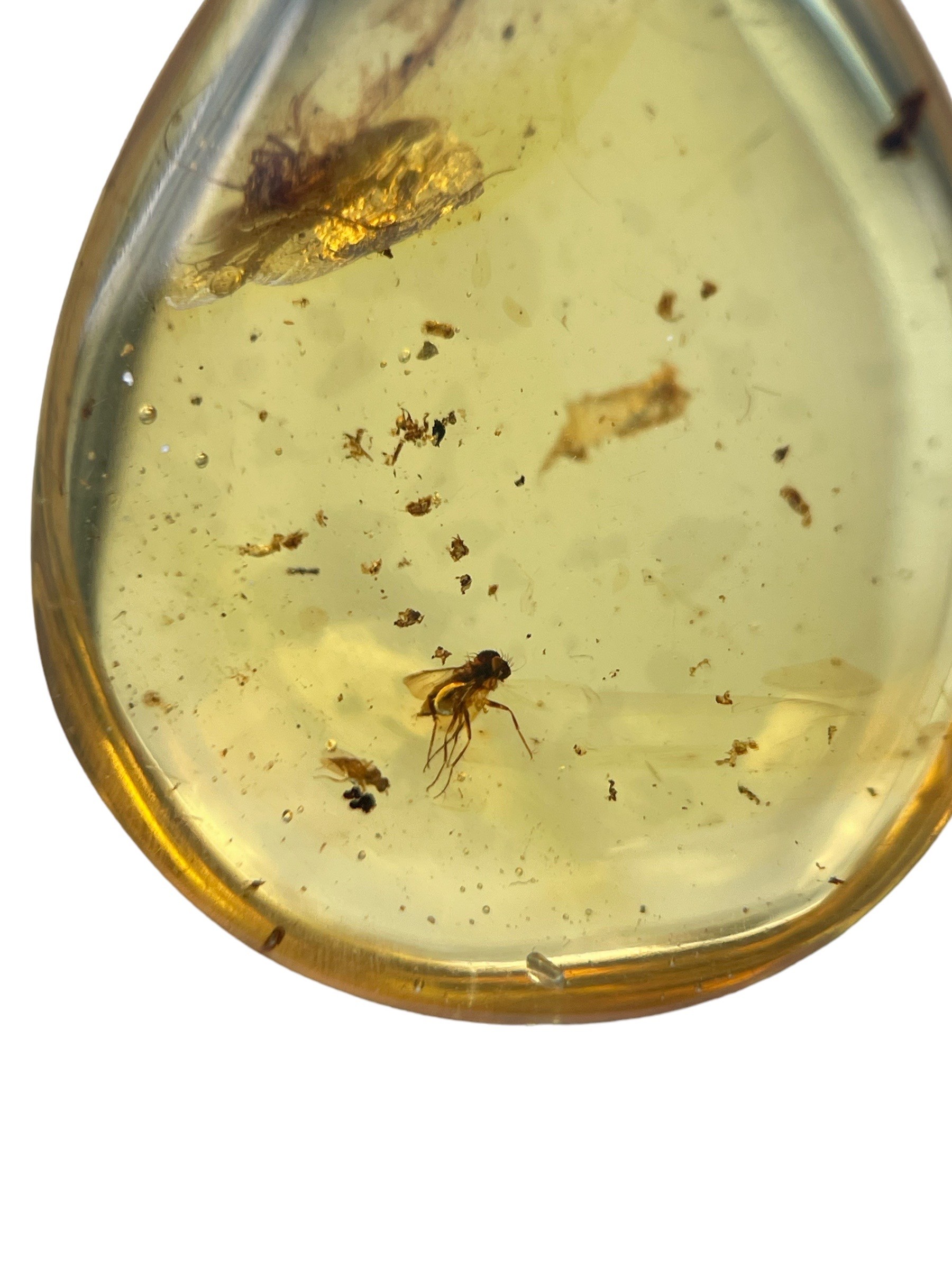 A FOSSIL FLY IN DINOSAUR AGED BURMESE AMBER A highly detailed fly, alongside others in clear - Image 2 of 3