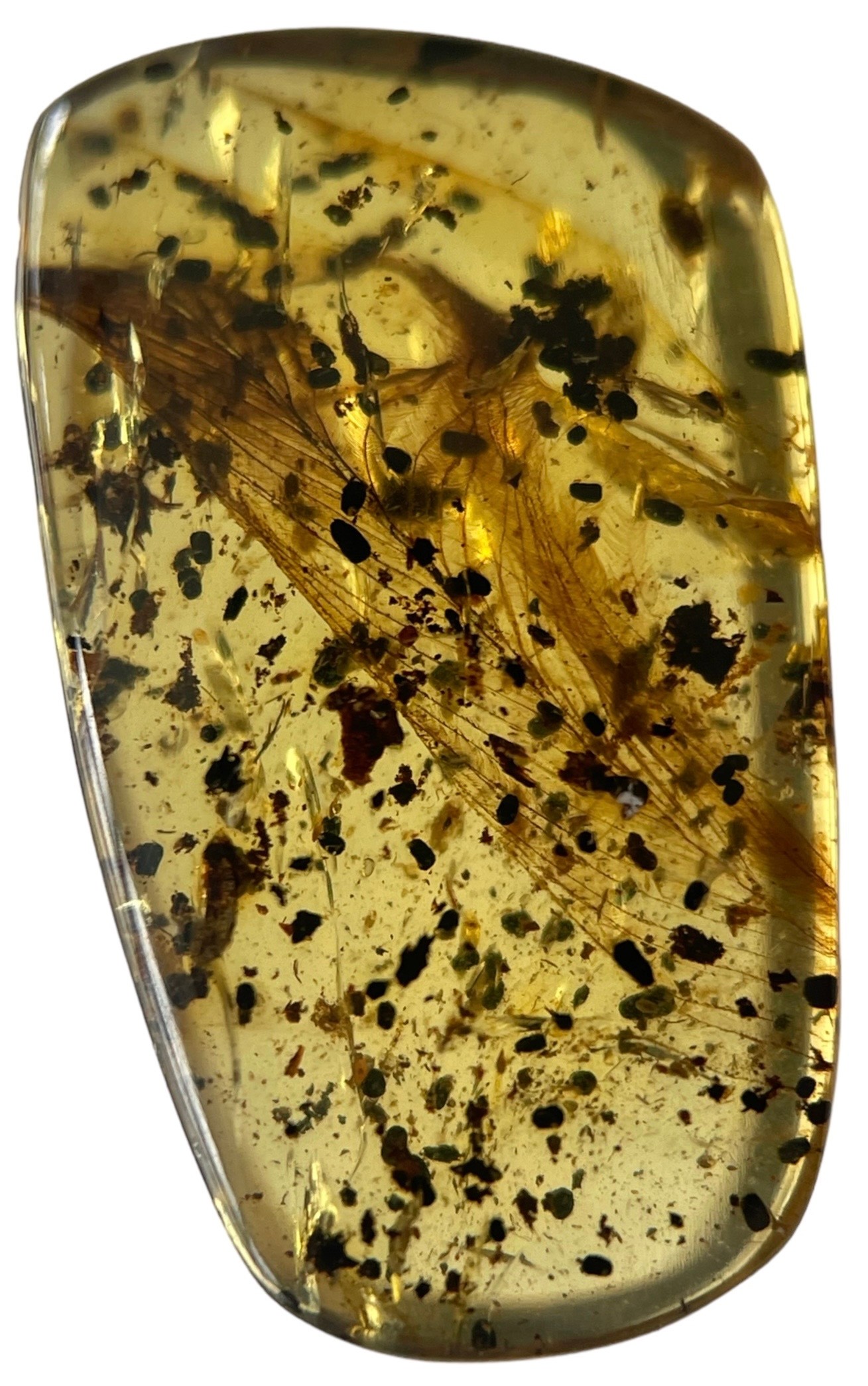 A VERY RARE DINOSAUR FEATHER FOSSIL IN BURMESE AMBER A large and extremely scarce dinosaur feather - Image 3 of 3
